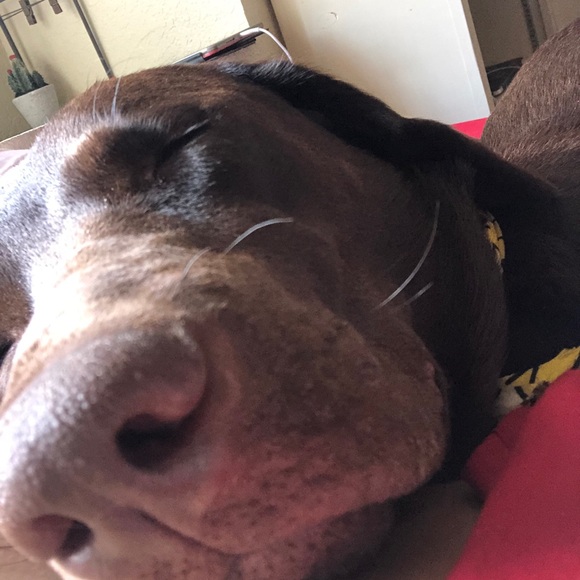 Meet your Posher, Bekah - Picture 1 of 1